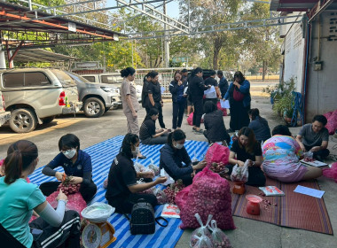 สำนักงานสหกรณ์จังหวัดกำแพงเพชร นำโดยนางสาวมณฑาทิพย์ บัวเทศ ... พารามิเตอร์รูปภาพ 8